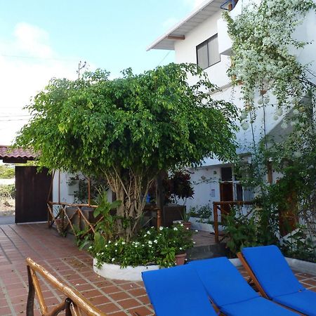 Hotel La Casa De Judy بويرتو أيورا المظهر الخارجي الصورة